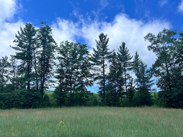 Tittabawassee Trl, Gaylord, MI 49735 - photo 5