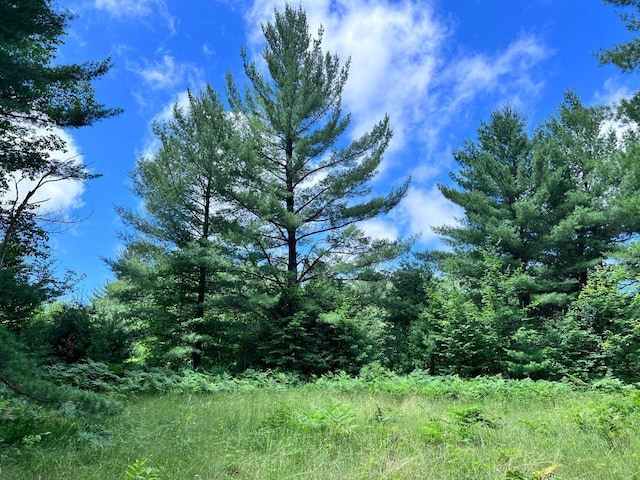 Tittabawassee Trl, Gaylord, MI 49735 - photo 6