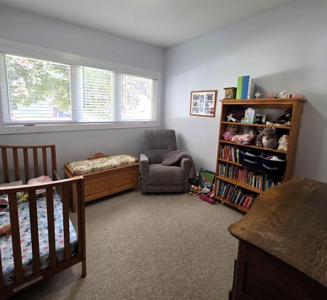 2338 Emmet St, Alpena, MI 49707 - photo 11
