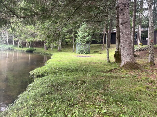 3466 Short St, Grayling, MI 49738 - photo 9
