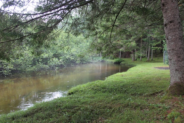 3466 Short St, Grayling, MI 49738 - photo 11