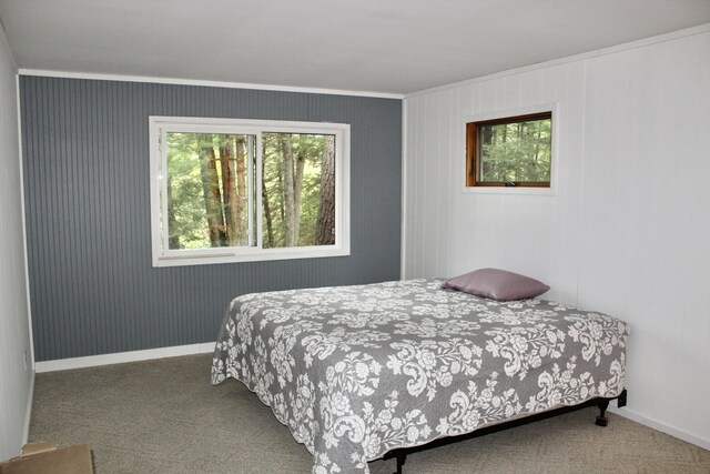 3466 Short St, Grayling, MI 49738 - photo 27