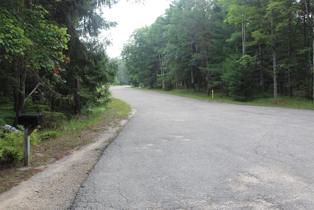 3466 Short St, Grayling, MI 49738 - photo 34