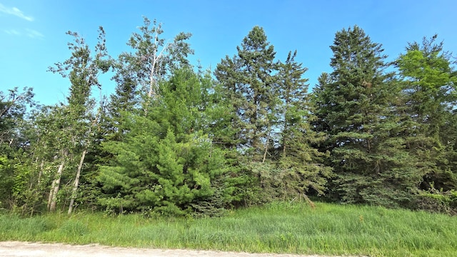 13393 W Shore Dr, Millersburg, MI 49759 - photo 12
