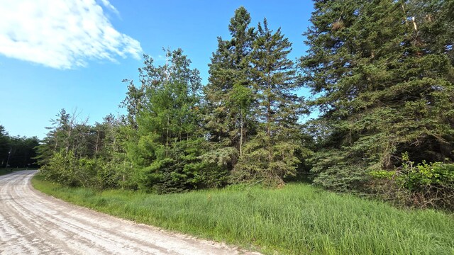 13393 W Shore Dr, Millersburg, MI 49759 - photo 13