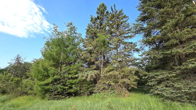 13393 W Shore Dr, Millersburg, MI 49759 - photo 15