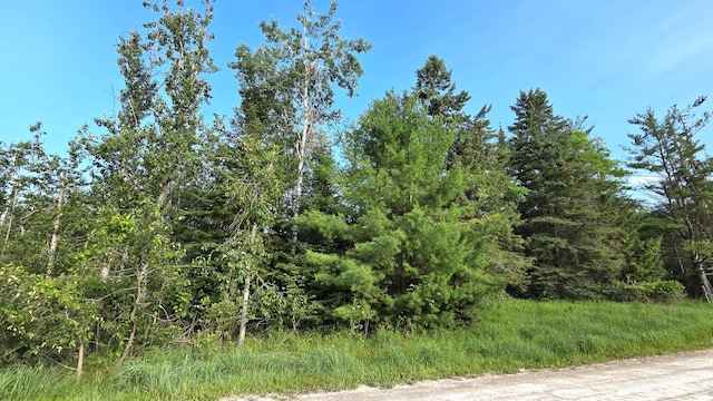 13393 W Shore Dr, Millersburg, MI 49759 - photo 16