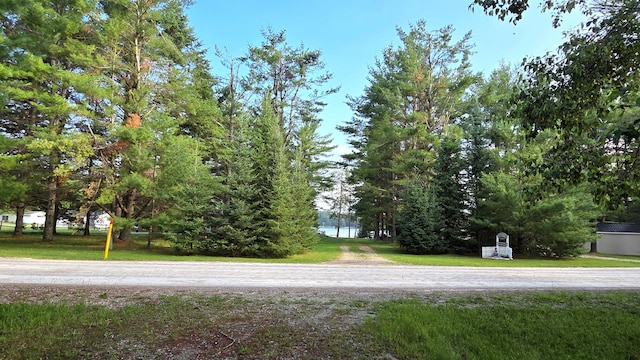 13393 W Shore Dr, Millersburg, MI 49759 - photo 19