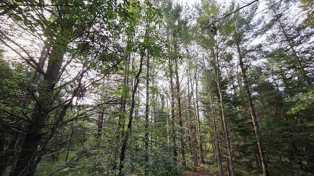 13393 W Shore Dr, Millersburg, MI 49759 - photo 17