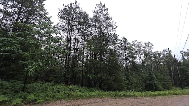 16844 Evergreen Dr, Wolverine, MI 49799 - photo 5