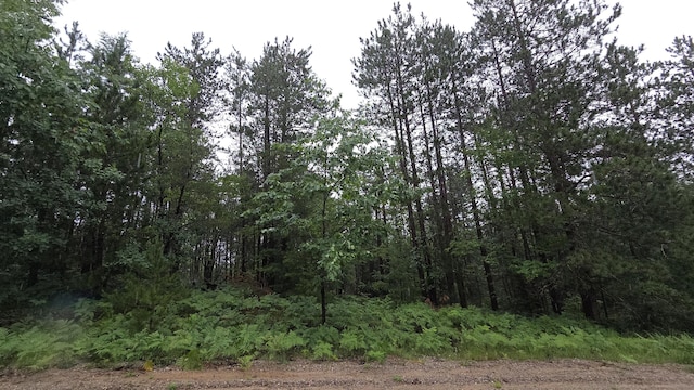 16844 Evergreen Dr, Wolverine, MI 49799 - photo 6