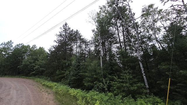 16844 Evergreen Dr, Wolverine, MI 49799 - photo 8