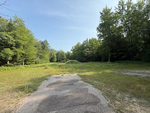 233 Sunset Dr, Roscommon, MI 48653 - photo 10