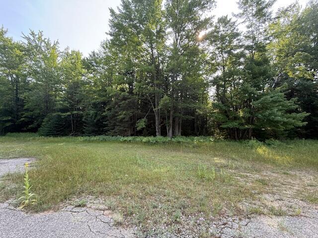 233 Sunset Dr, Roscommon, MI 48653 - photo 12