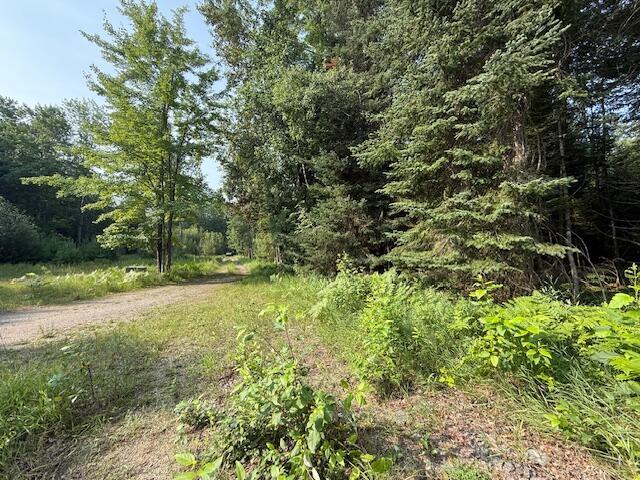 233 Sunset Dr, Roscommon, MI 48653 - photo 15