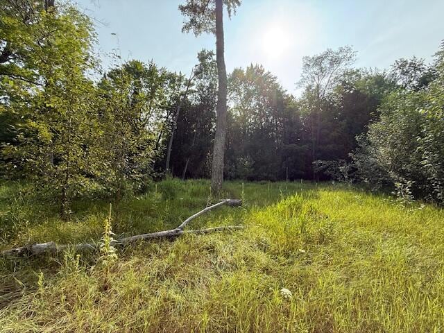 233 Sunset Dr, Roscommon, MI 48653 - photo 16