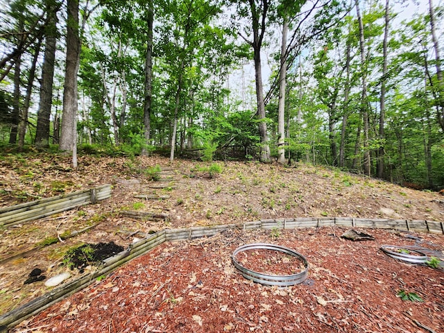 11838 Fascination Dr, Frederic, MI 49733 - photo 44
