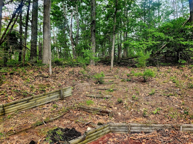 11838 Fascination Dr, Frederic, MI 49733 - photo 45