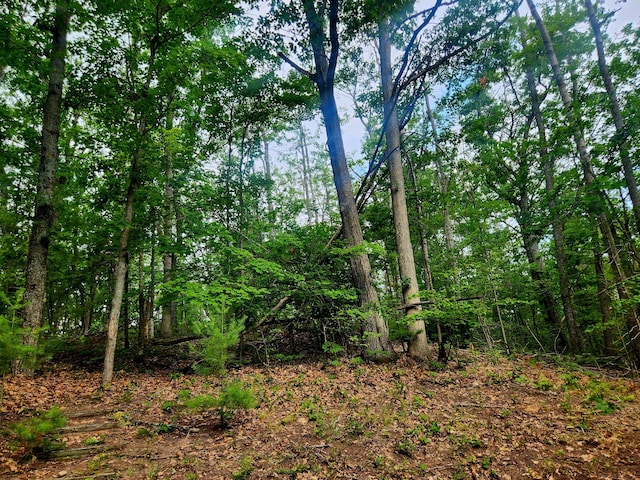 11838 Fascination Dr, Frederic, MI 49733 - photo 46