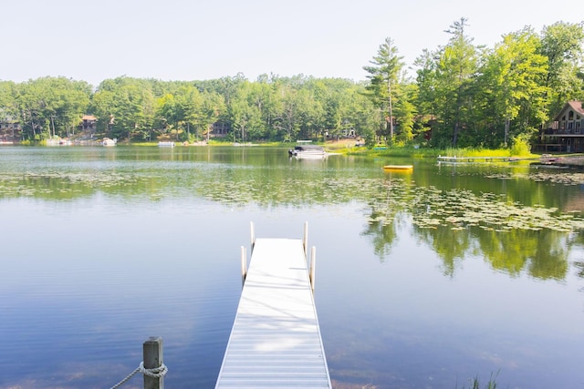 7618 Cree Trl, Gaylord, MI 49735 - photo 20