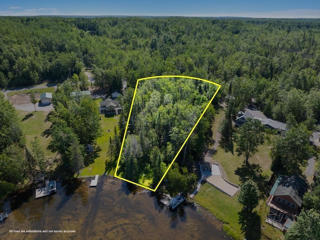 15472 Lakeview Dr, Wolverine, MI 49799 - photo 5