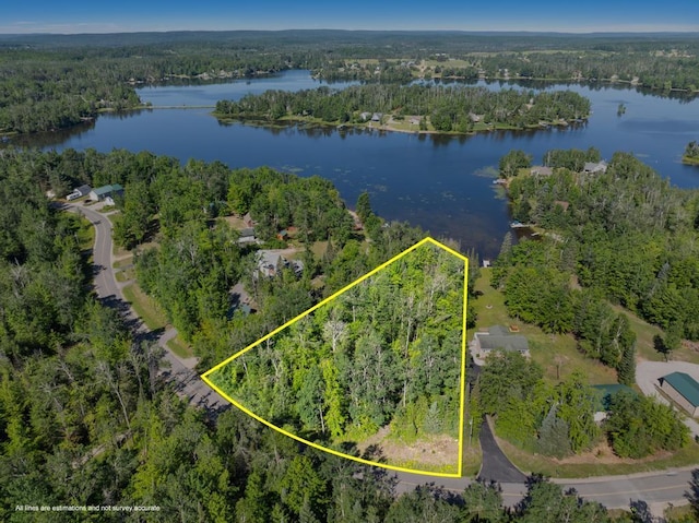 15472 Lakeview Dr, Wolverine, MI 49799 - photo 1