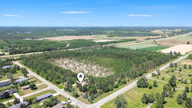 530 Five Lakes Rd, Gaylord, MI 49735 - photo 2