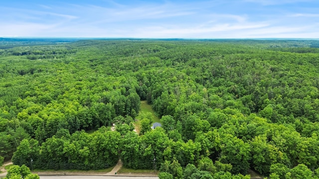 8571 W Cameron Bridge Rd, Frederic, MI 49733 - photo 38