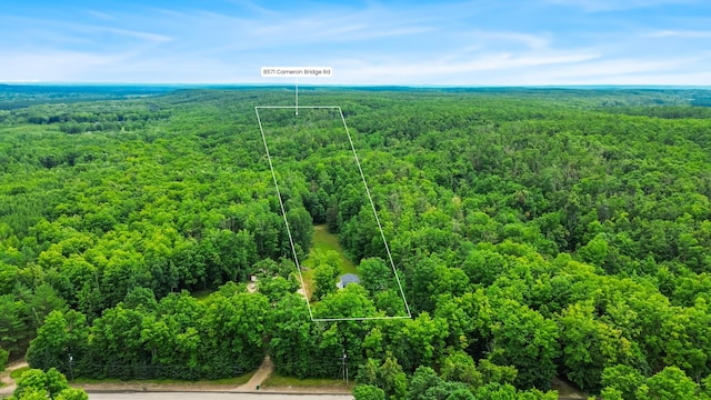 8571 W Cameron Bridge Rd, Frederic, MI 49733 - photo 42