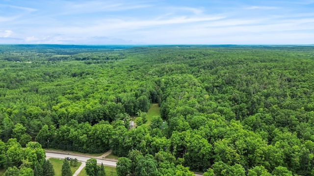 8571 W Cameron Bridge Rd, Frederic, MI 49733 - photo 36