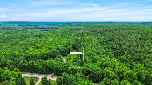 8571 W Cameron Bridge Rd, Frederic, MI 49733 - photo 41