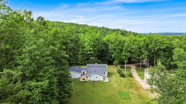 8571 W Cameron Bridge Rd, Frederic, MI 49733 - photo 31