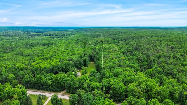 8571 W Cameron Bridge Rd, Frederic, MI 49733 - photo 44