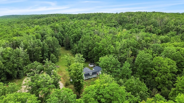 8571 W Cameron Bridge Rd, Frederic, MI 49733 - photo 40