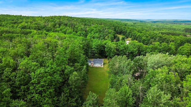 8571 W Cameron Bridge Rd, Frederic, MI 49733 - photo 37
