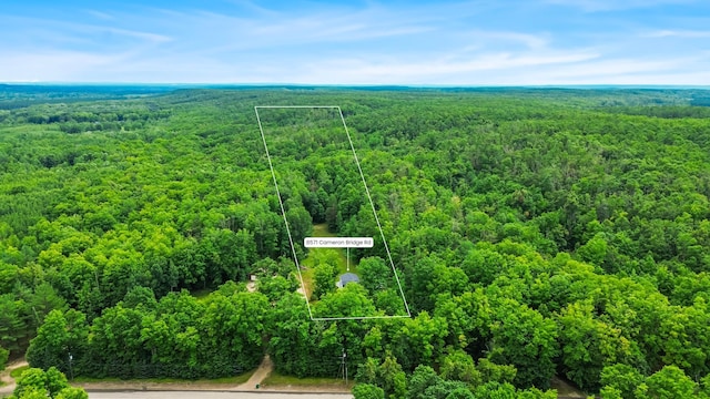 8571 W Cameron Bridge Rd, Frederic, MI 49733 - photo 43