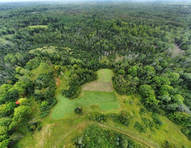 725 S Hubbard Lake Rd, Lincoln, MI 48742 - photo 22