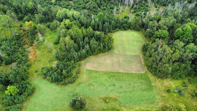 725 S Hubbard Lake Rd, Lincoln, MI 48742 - photo 23