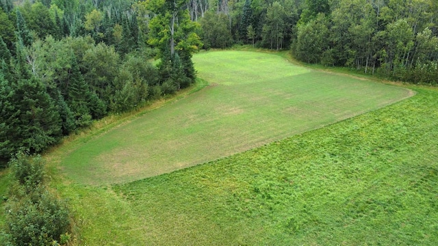725 S Hubbard Lake Rd, Lincoln, MI 48742 - photo 24