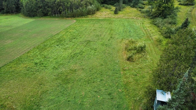 725 S Hubbard Lake Rd, Lincoln, MI 48742 - photo 25