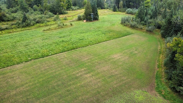 725 S Hubbard Lake Rd, Lincoln, MI 48742 - photo 20