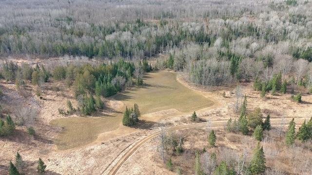 725 S Hubbard Lake Rd, Lincoln, MI 48742 - photo 31