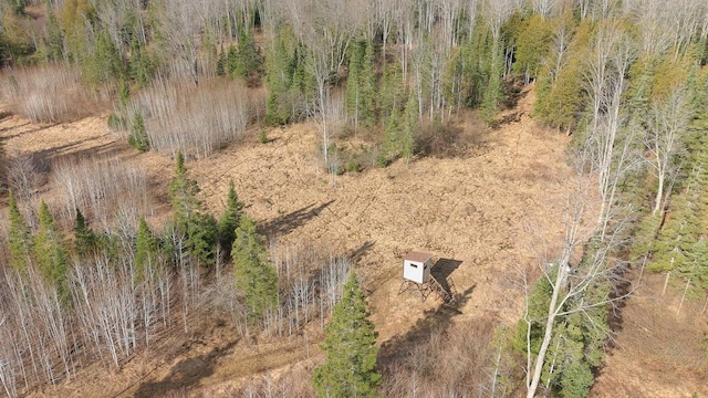 725 S Hubbard Lake Rd, Lincoln, MI 48742 - photo 32