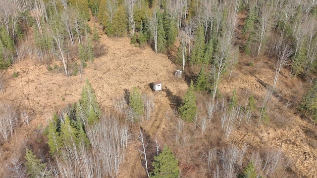 725 S Hubbard Lake Rd, Lincoln, MI 48742 - photo 33