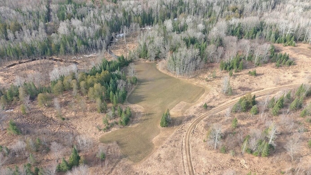 725 S Hubbard Lake Rd, Lincoln, MI 48742 - photo 34