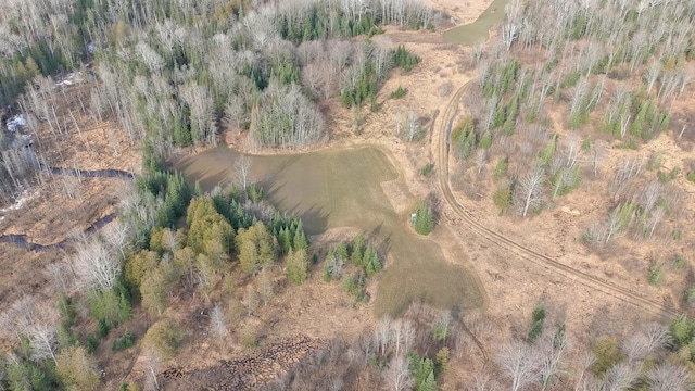 725 S Hubbard Lake Rd, Lincoln, MI 48742 - photo 35