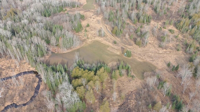 725 S Hubbard Lake Rd, Lincoln, MI 48742 - photo 36