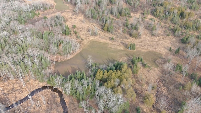 725 S Hubbard Lake Rd, Lincoln, MI 48742 - photo 37