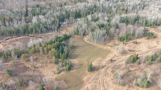725 S Hubbard Lake Rd, Lincoln, MI 48742 - photo 40