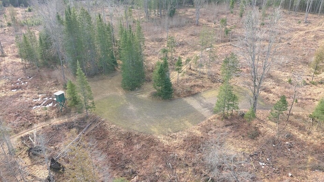 725 S Hubbard Lake Rd, Lincoln, MI 48742 - photo 43